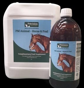 Precision Microbes – Horse & Foal